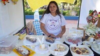 Photo of GRAN CONCURRENCIA EN LA FERIA DE EMPRENDEDORAS DE MERLO